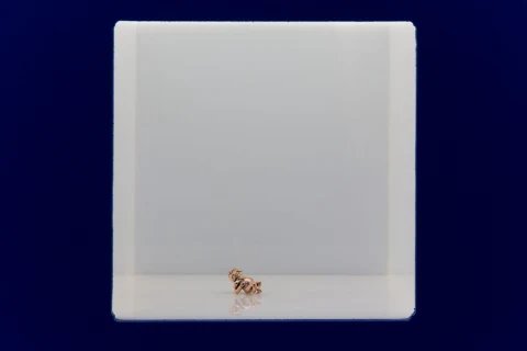 _C9B6308_web